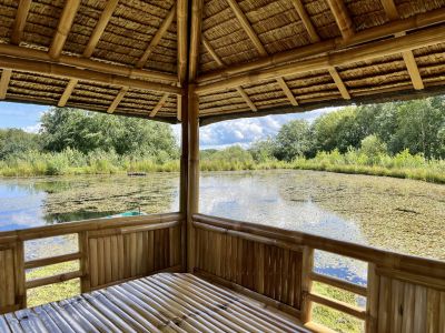 Gazebo Haiti